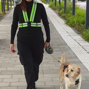 Reflektorgurt verstellbar