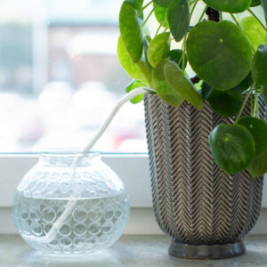 Bewässerungsschnur für Pflanzen